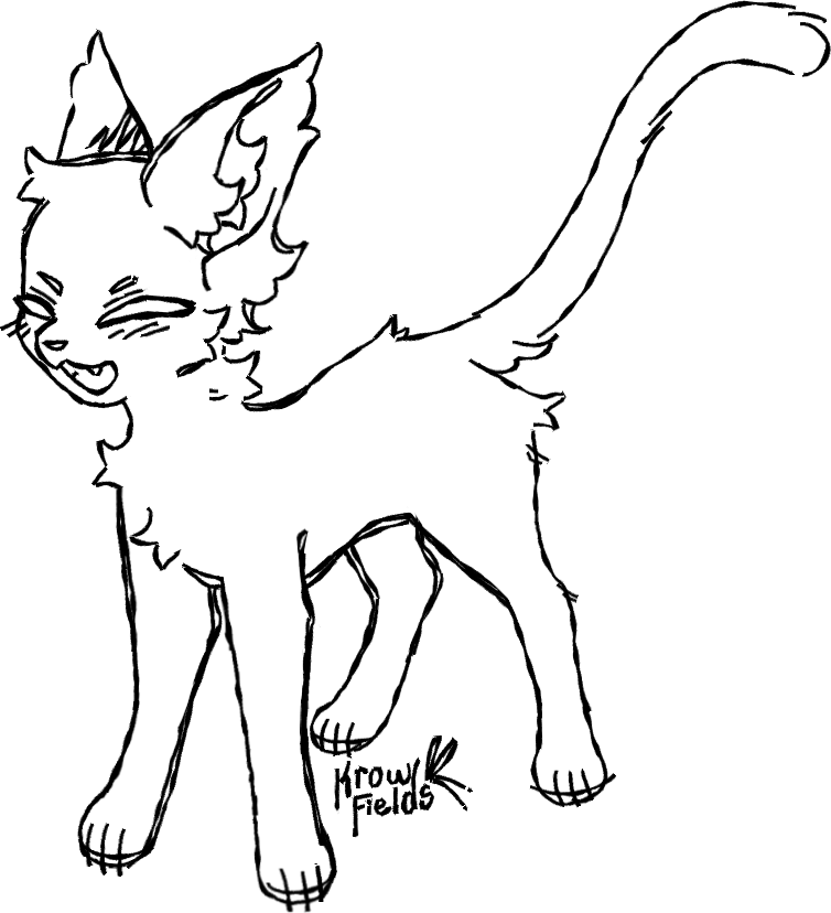 魔兽新手盒子｜海量资源 WeakAuras 配置